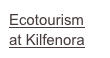 Ecotourism
at Kilfenora