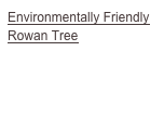 Environmentally Friendly Rowan Tree